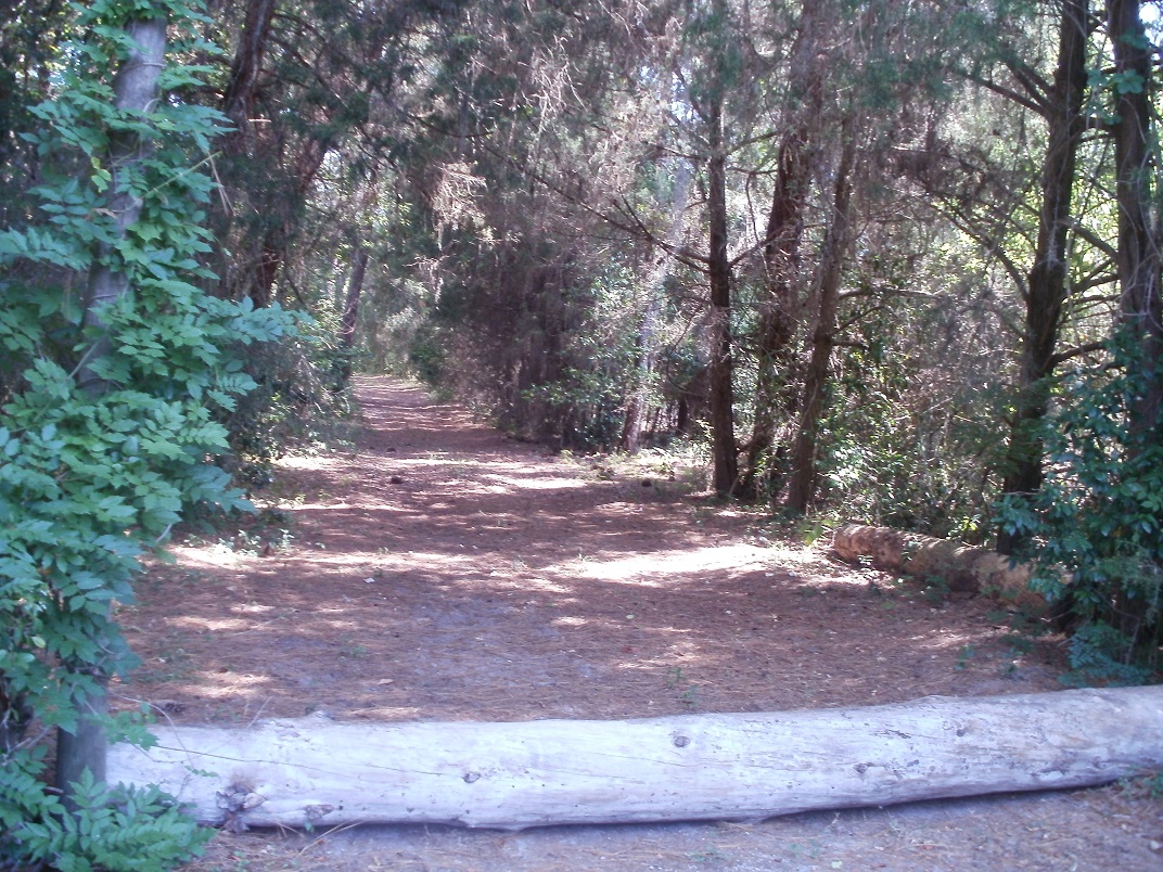 0 Rookery Rd., New Port Richey, FL 34655