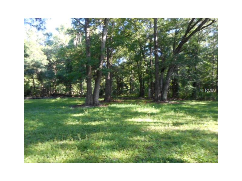 CALVERT, Nobleton, FL 34661