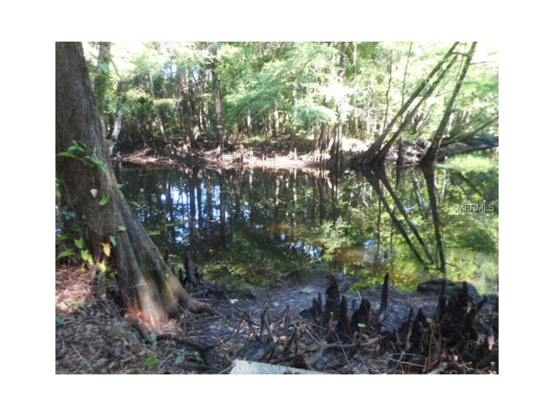 CALVERT, Nobleton, FL 34661