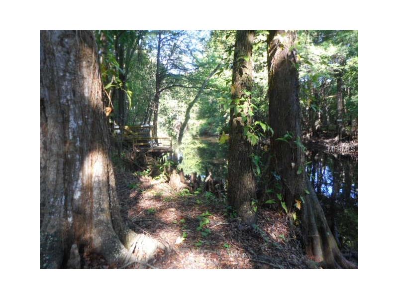 CALVERT, Nobleton, FL 34661