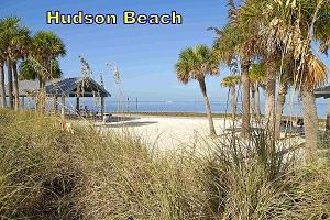 Club Wildwood Carefree Community14311 Sundial StHudson, FL 34667