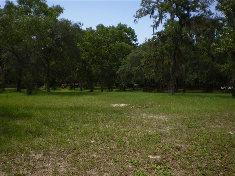 00 LITTLE ROAD, Hudson, FL 34667