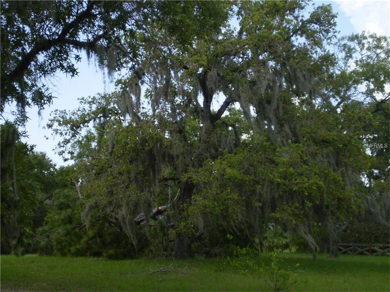00 LITTLE ROAD, Hudson, FL 34667