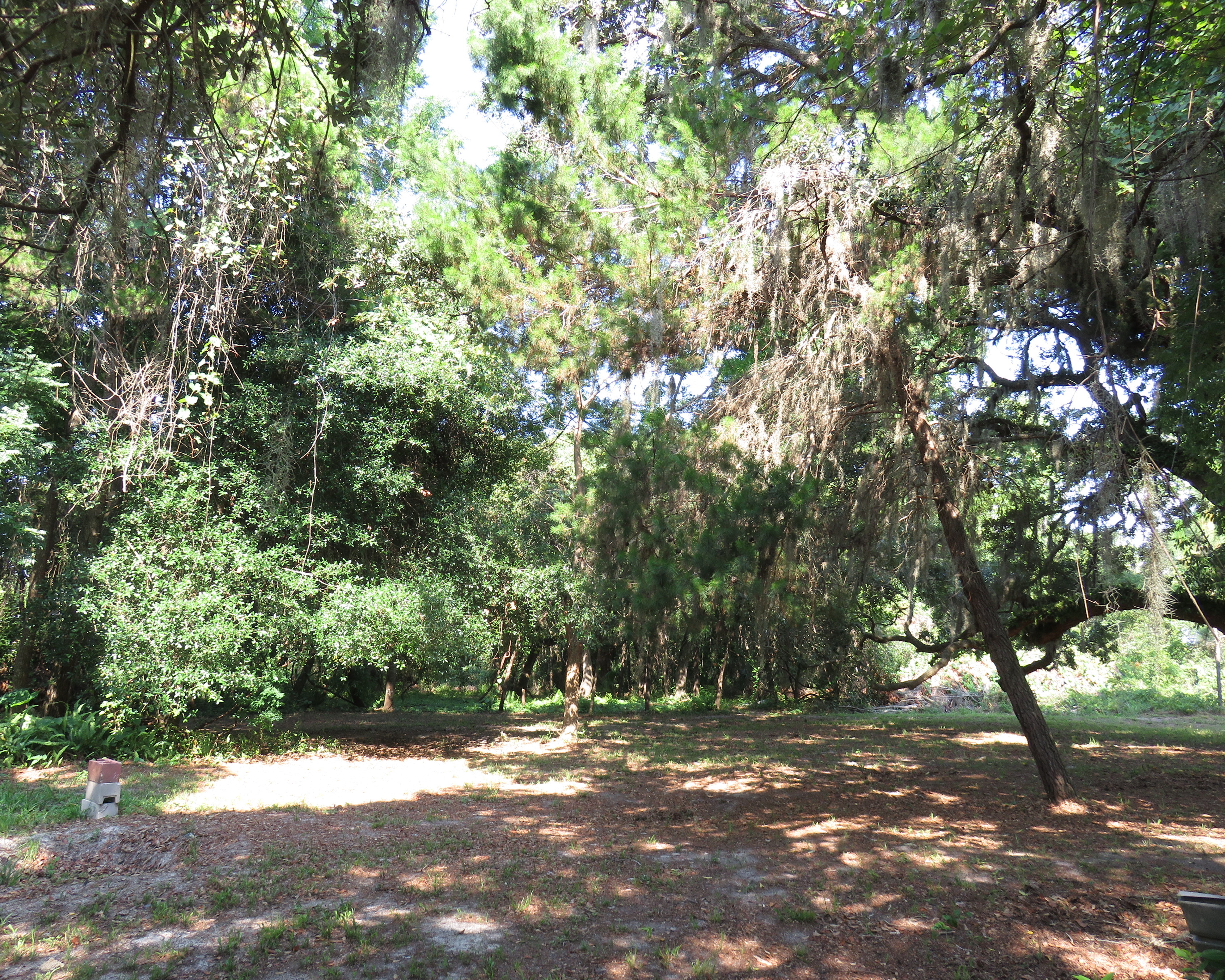 16333 Diagonal Rd, Hudson, FL 34667