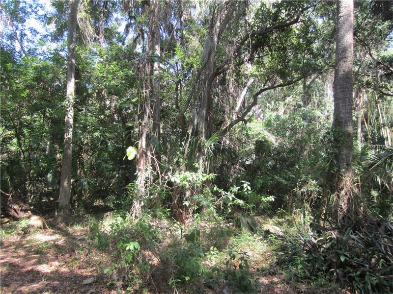 DAMEN LANE, Port Richey, FL 34668