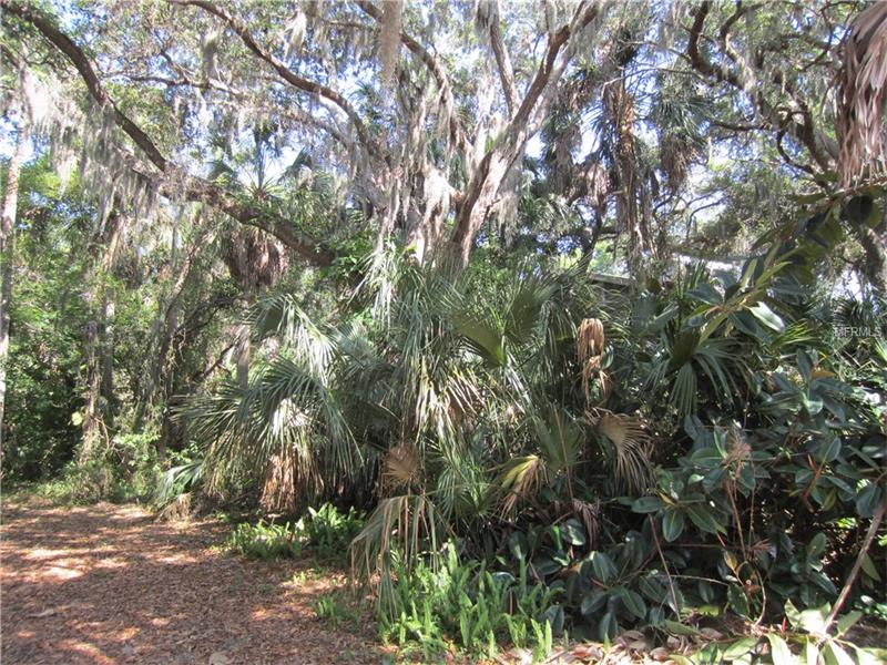 DAMEN LANE, Port Richey, FL 34668