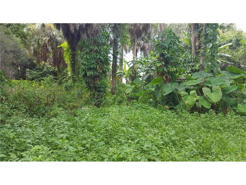 MILLER BAYOU, Port Richey, FL 34668