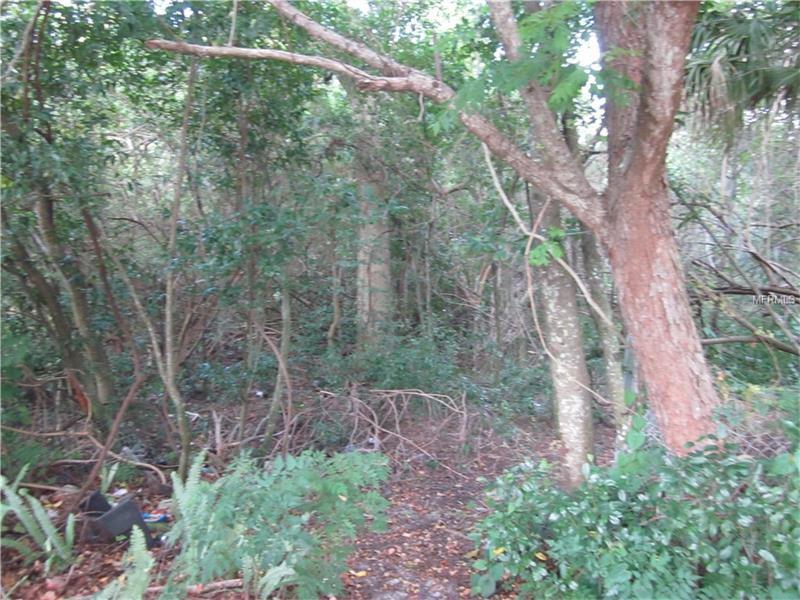 E ALLYSON STREET E, Port Richey, FL 34668