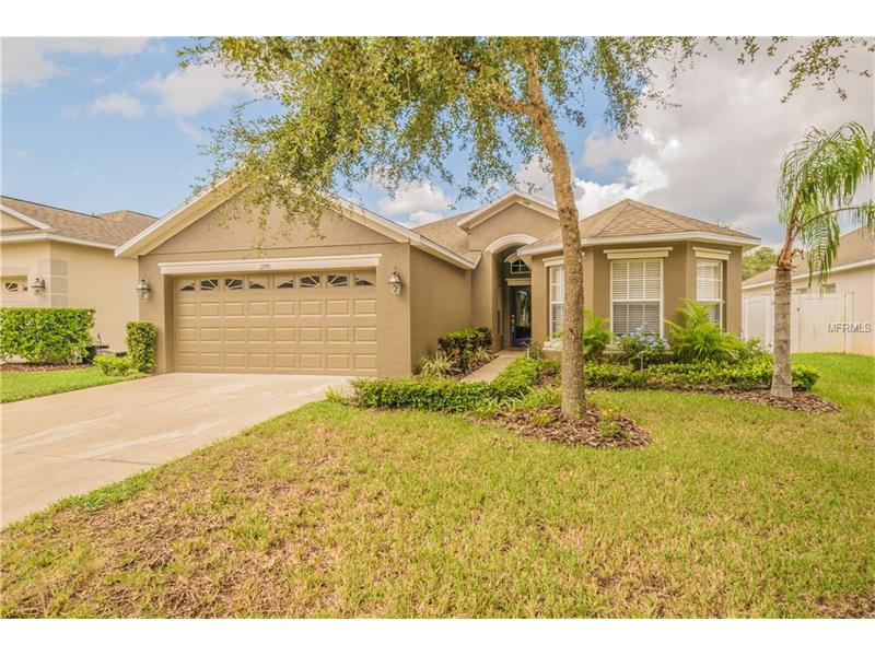 12901 SAULSTON PLACE, Hudson, FL 34669