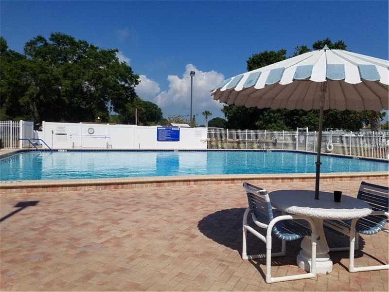 422 DOLPHIN DRIVE S, Oldsmar, FL 34677