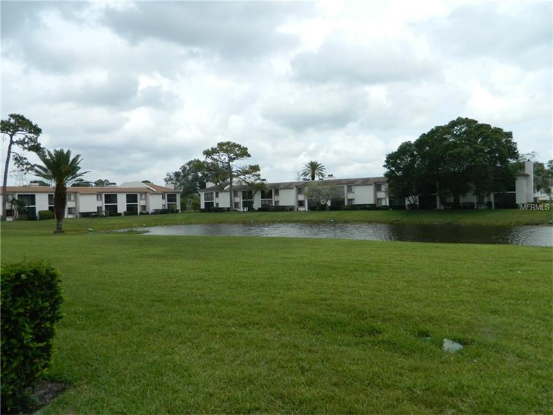 116 LAKESIDE DRIVE, Oldsmar, FL 34677