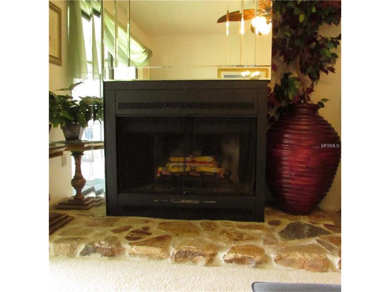 308 MARTHA LANE, Oldsmar, FL 34677