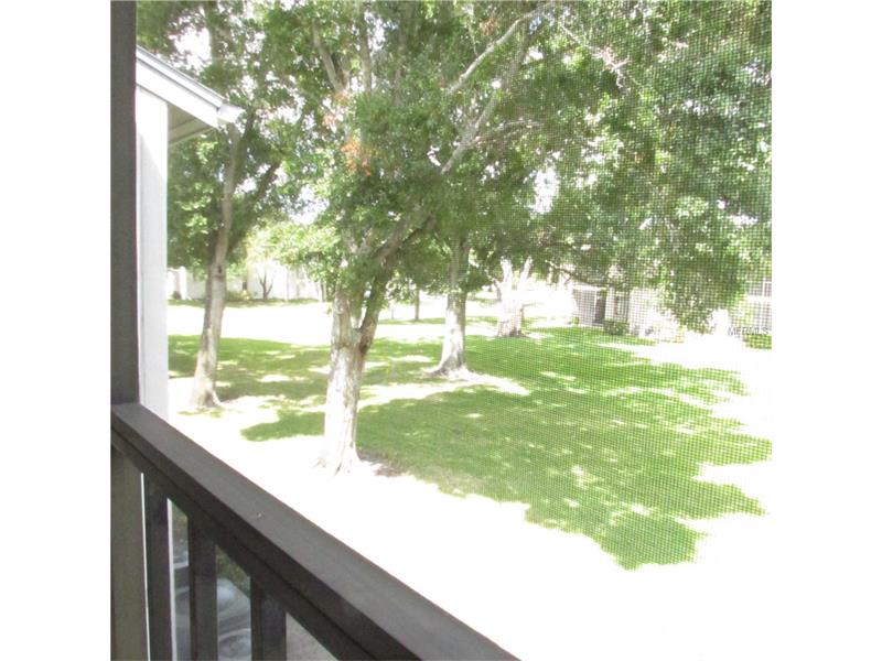 308 MARTHA LANE, Oldsmar, FL 34677