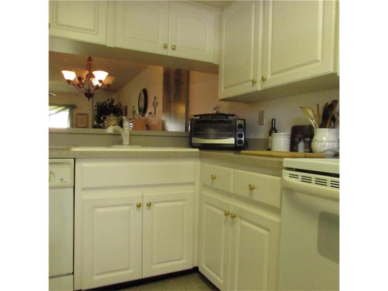 308 MARTHA LANE, Oldsmar, FL 34677