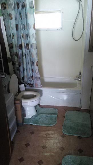Tarpon Lakeview Mobile Home Park37376 US 19 NPalm Harbor, FL 34684
