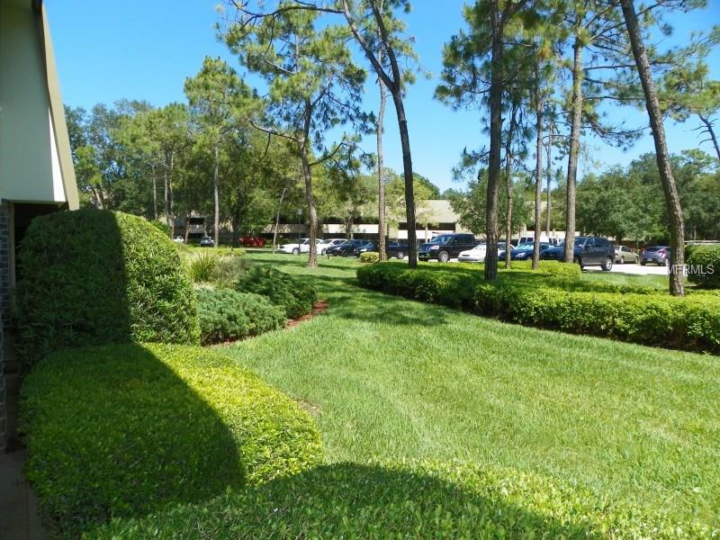 36750 US HIGHWAY 19 N, Palm Harbor, FL 34684