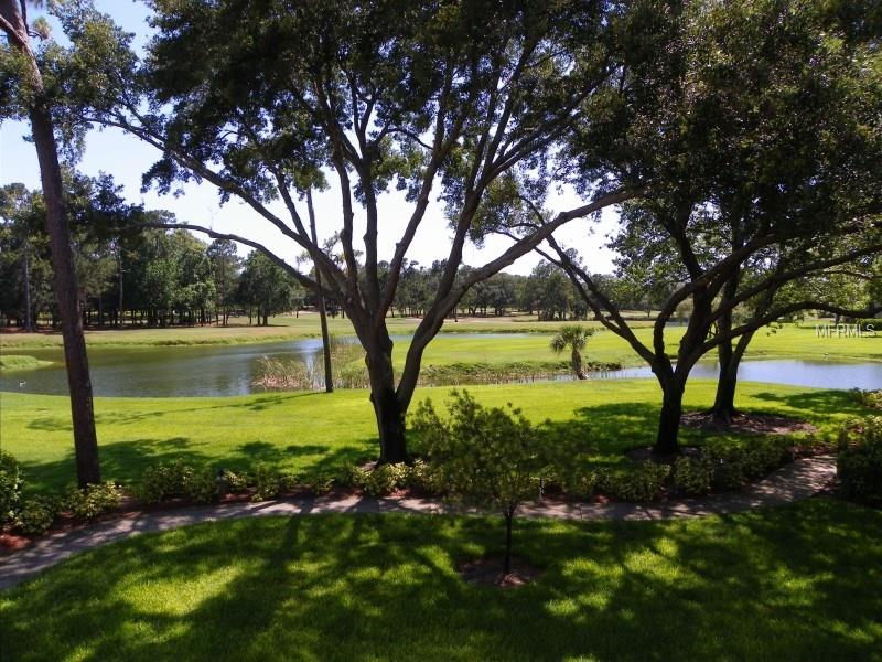 36750 US HIGHWAY 19 N, Palm Harbor, FL 34684