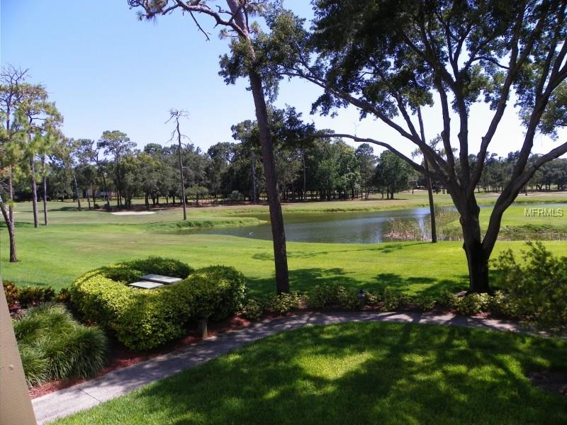 36750 US HIGHWAY 19 N, Palm Harbor, FL 34684