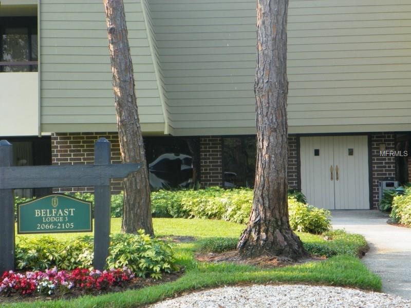 36750 US HIGHWAY 19 N, Palm Harbor, FL 34684