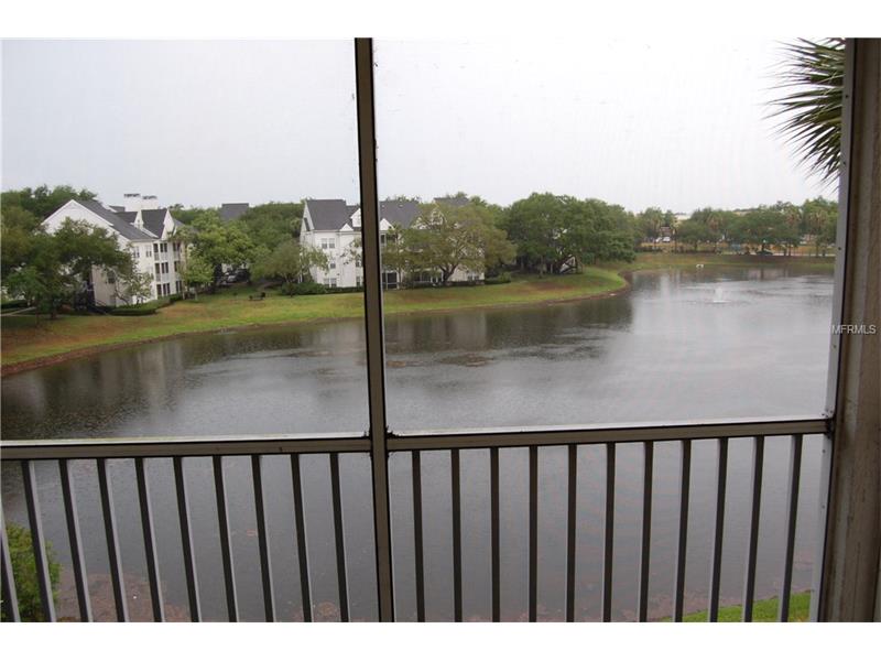 3300 HAVILAND COURT, Palm Harbor, FL 34684