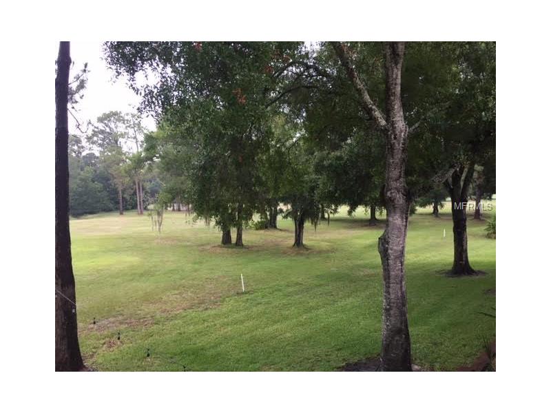 3505 TARPON WOODS BOULEVARD, Palm Harbor, FL 34685