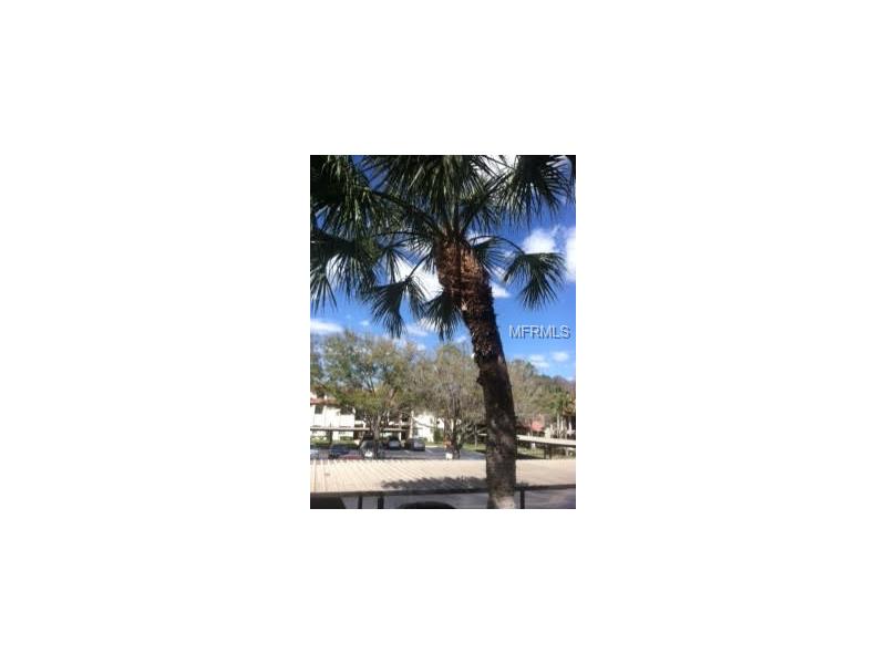 1801 E LAKE ROAD, Palm Harbor, FL 34685