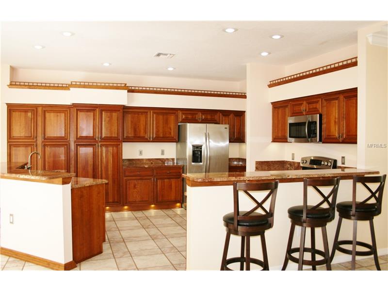 1045 KINGS WAY LANE, Tarpon Springs, FL 34688