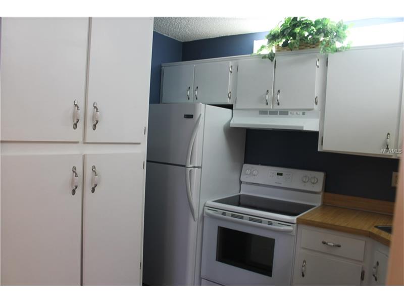 1344 PINE RIDGE CIRCLE E, Tarpon Springs, FL 34688