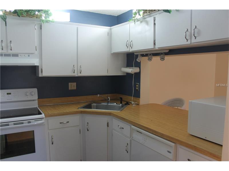 1344 PINE RIDGE CIRCLE E, Tarpon Springs, FL 34688