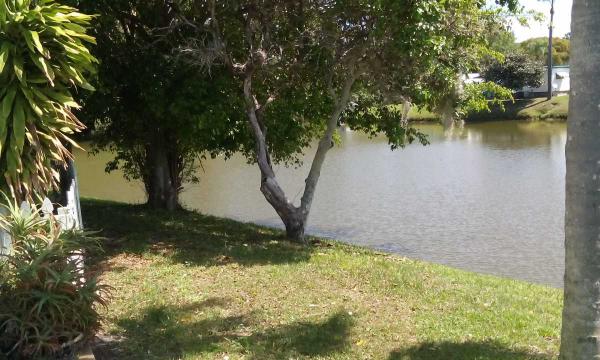 Sun Valley39248 US Highway 19 N #159Tarpon Springs, FL 34689