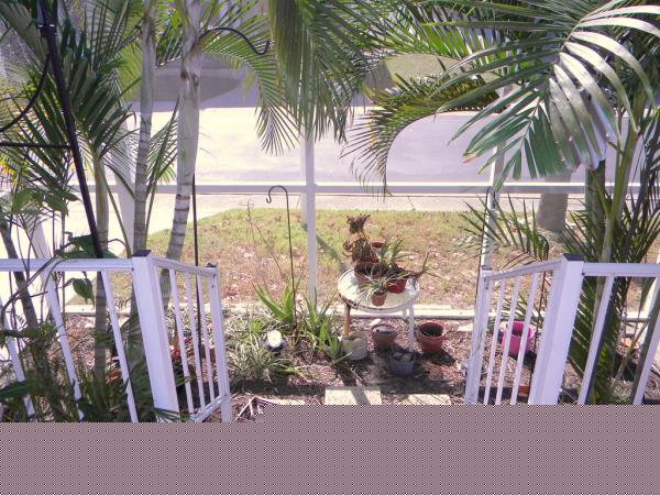 The Meadows505 Barbara WayTarpon Springs, FL 34689