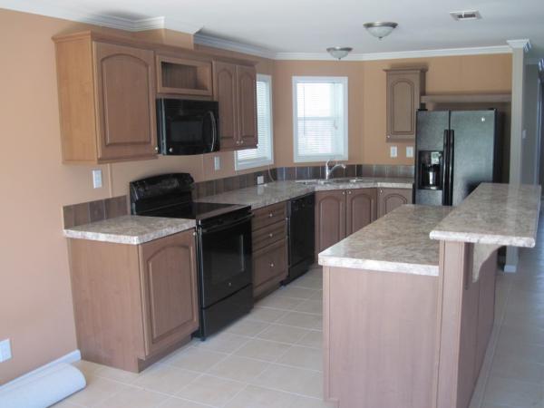 The Meadows524 Carey LnTarpon Springs, FL 34689