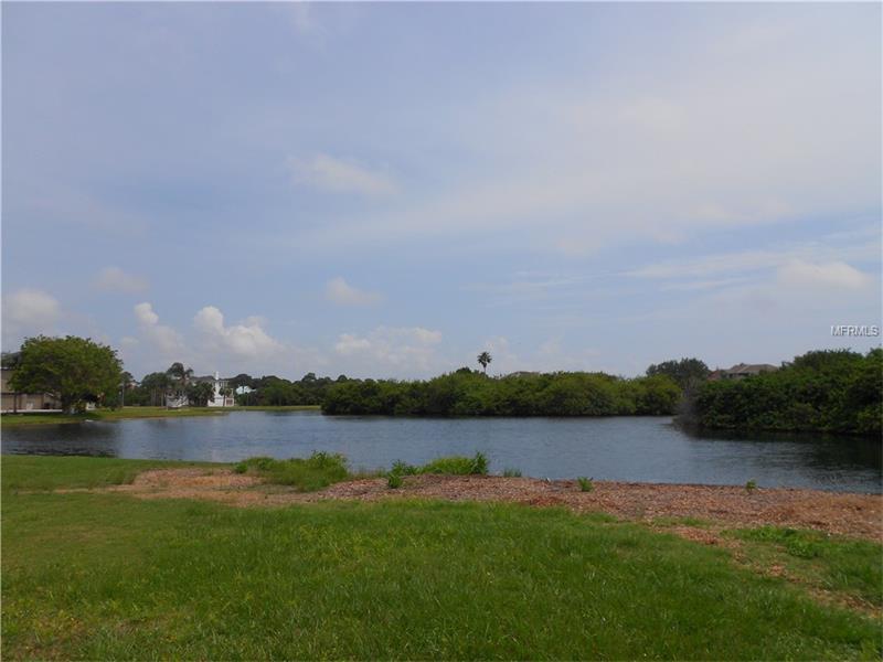 SANDPIPER POINTE COURT, Tarpon Springs, FL 34689