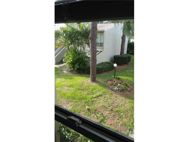 610 WINDRUSH BAY DRIVE, Tarpon Springs, FL 34689