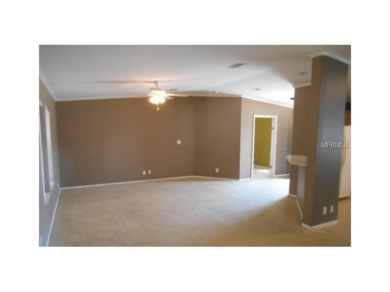 1557 S DISSTON AVENUE, Tarpon Springs, FL 34689