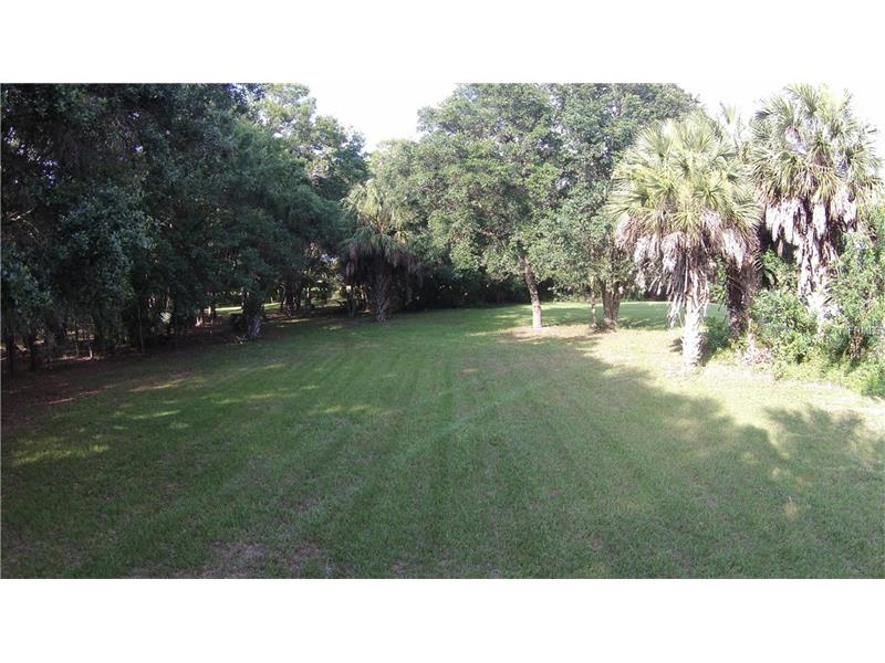 BLACKRUSH DRIVE, Tarpon Springs, FL 34689