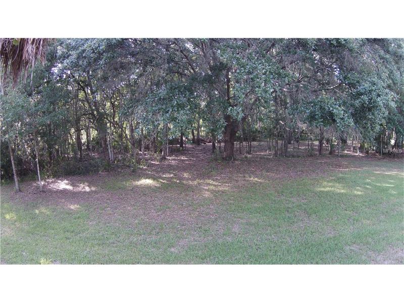 BLACKRUSH DRIVE, Tarpon Springs, FL 34689
