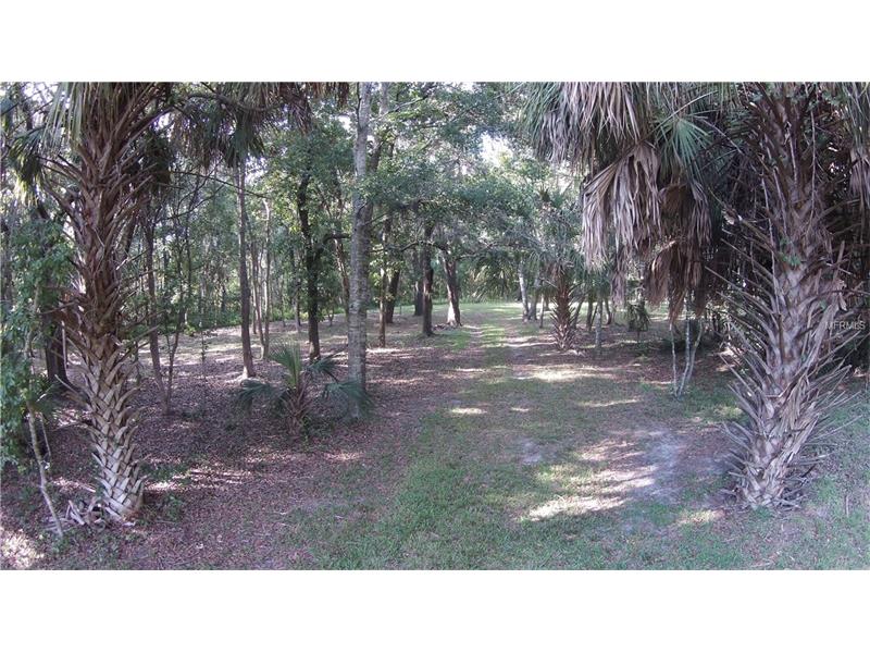 BLACKRUSH DRIVE, Tarpon Springs, FL 34689