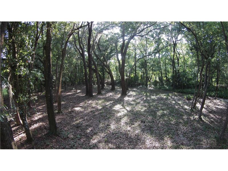 BLACKRUSH DRIVE, Tarpon Springs, FL 34689