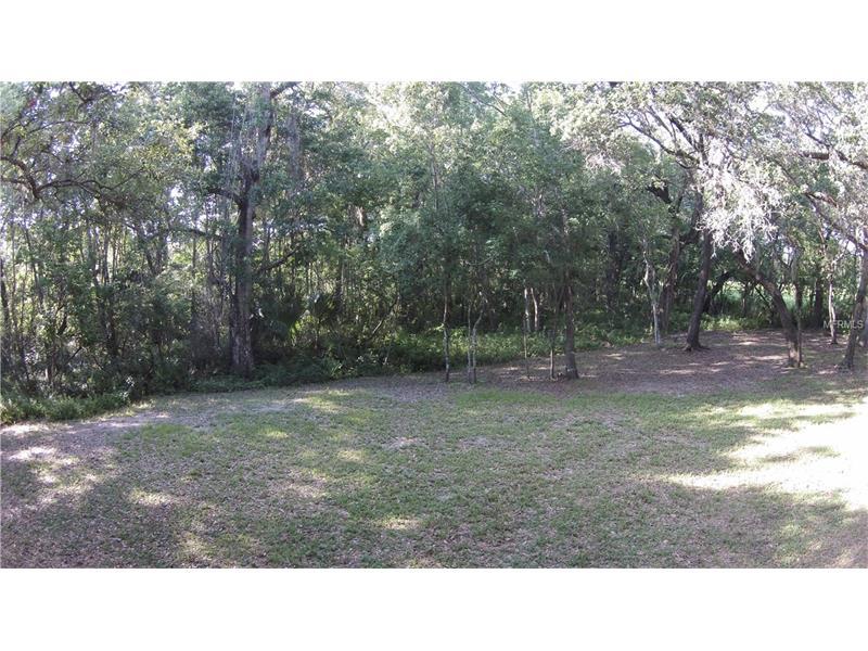BLACKRUSH DRIVE, Tarpon Springs, FL 34689