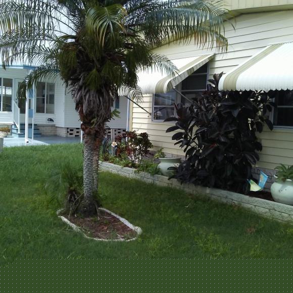 2106 kahala dr ,FL, Holiday, 34691