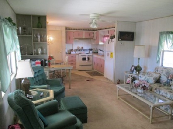 Amber Glades3113 State Road 580, #224Safety Harbor, FL 34695
