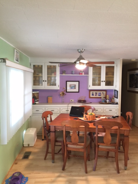 Amber Glades3113 Florida 580Safety Harbor, FL 34695