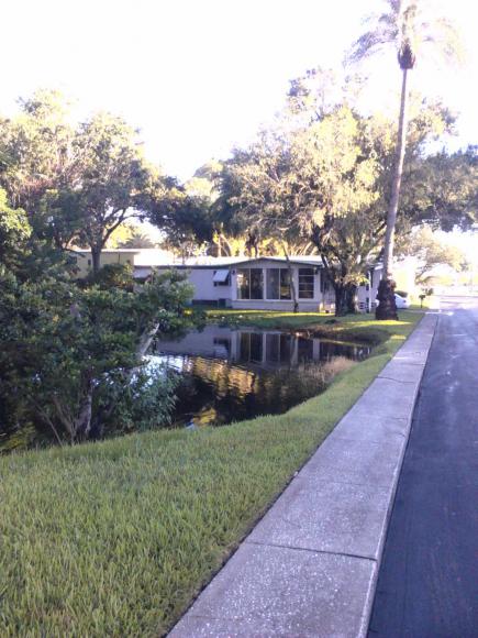 Bay's End Manor3432 SR 580 Lot 142Safety Harbor, FL 34695