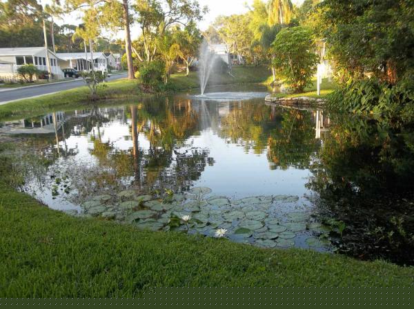 Bay's End Manor3432 SR 580 Lot 142Safety Harbor, FL 34695