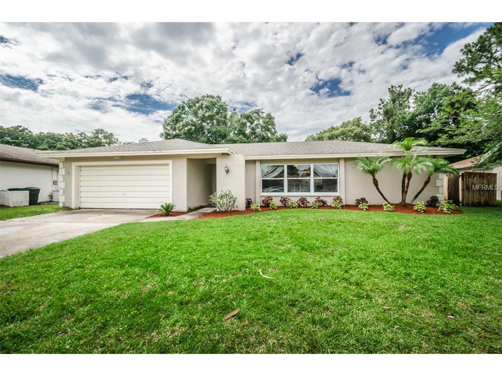 2124 Flamingo Pl, Safety Harbor, FL 34695