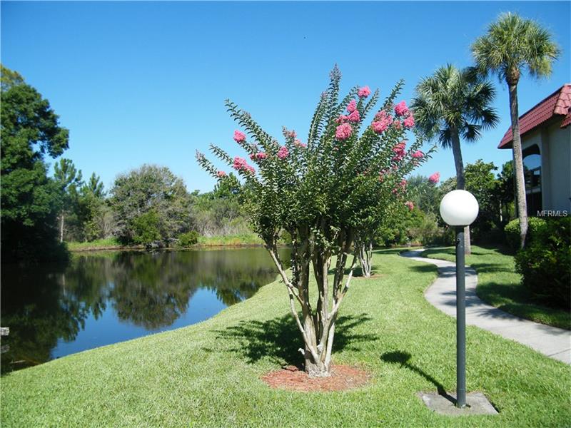 1007 S BAYSHORE BOULEVARD, Safety Harbor, FL 34695