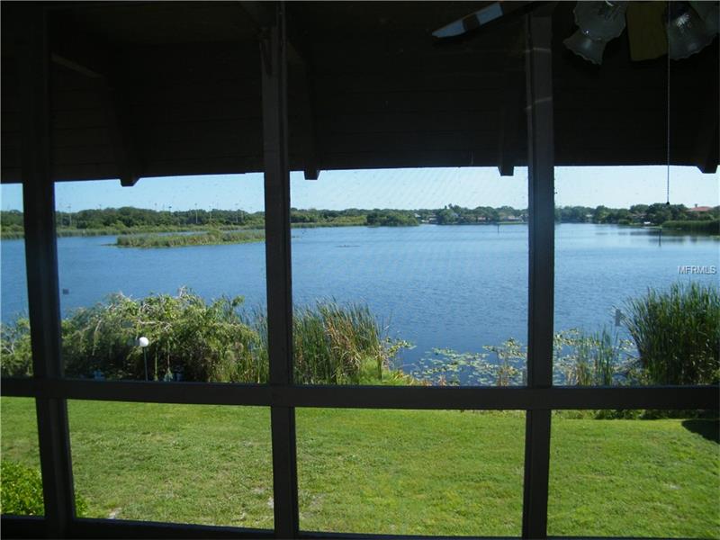 1007 S BAYSHORE BOULEVARD, Safety Harbor, FL 34695