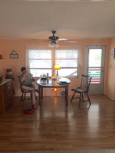 Lake Haven1415 Main Street, #468Dunedin, FL 34698