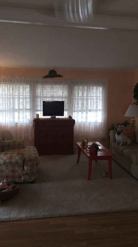 Lake Haven1415 Main Street, #468Dunedin, FL 34698